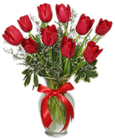 Red Tulips